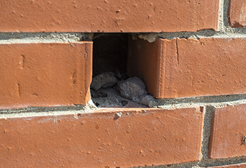 The Importance Of Dryer Vent Cleaning In Hercules