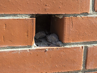 Dryer Vent Cleaning Is Important, Hercules